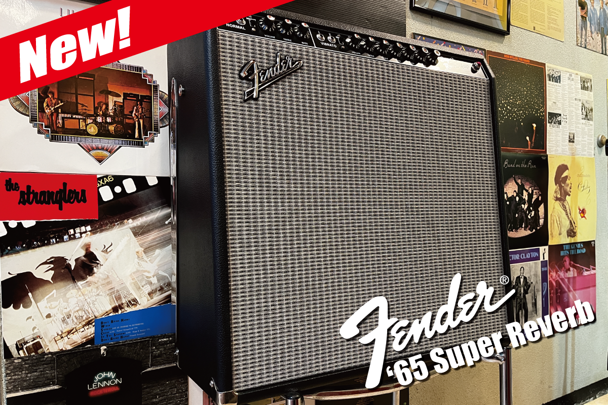 レンタル無料！Fender '65 Super Reverb！